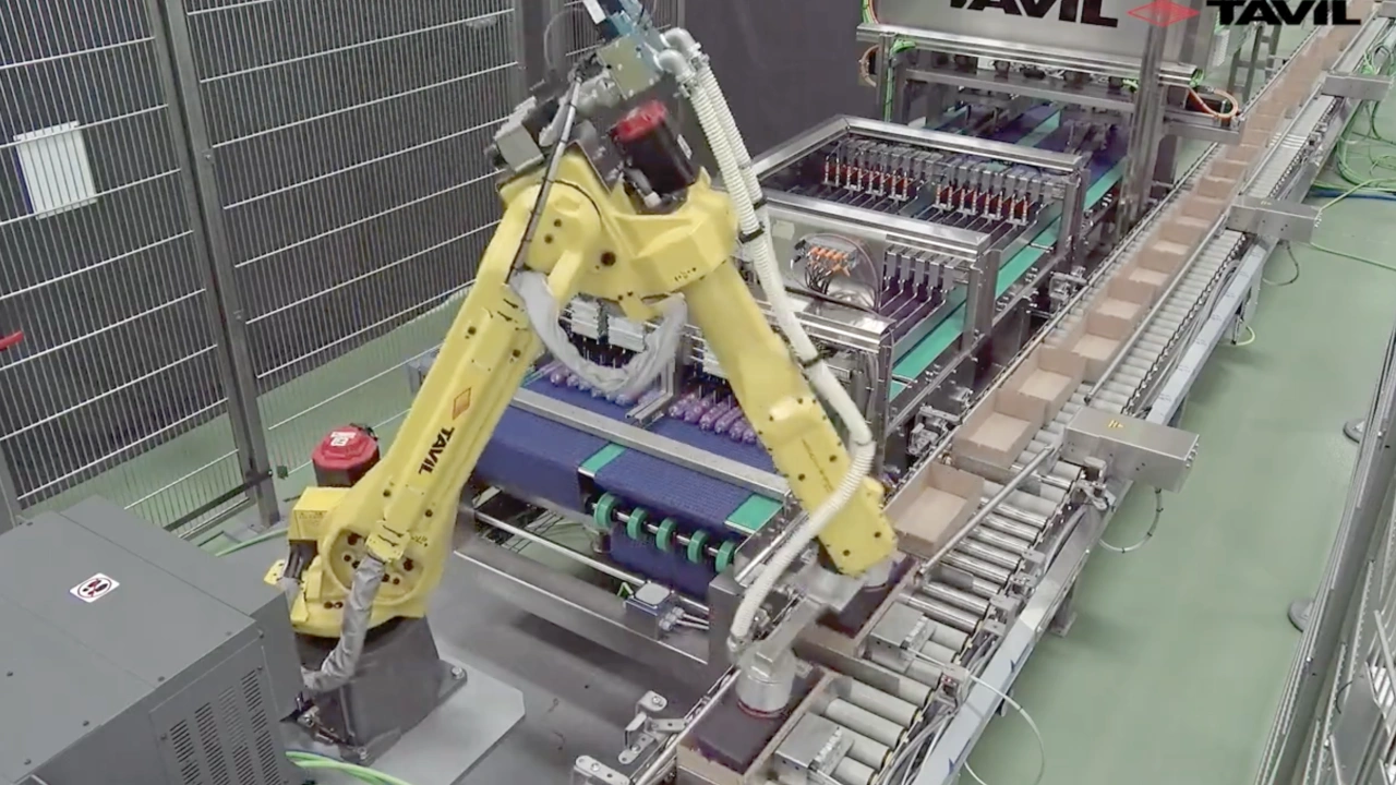 Pates & canned meat multiformat solutions