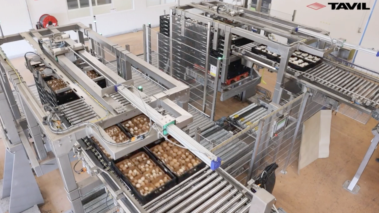 Dry grains & vegetables multiformat solutions