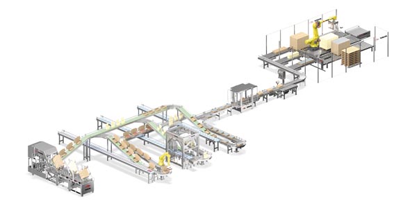 <strong>Multiformat packing & palletizing multiline</strong>